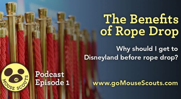 MS001-Rope-Drop